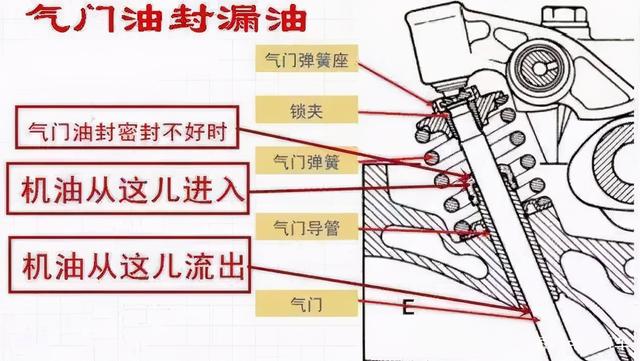 大众车烧机油是真的吗？大众什么车型的发动机容易烧机油