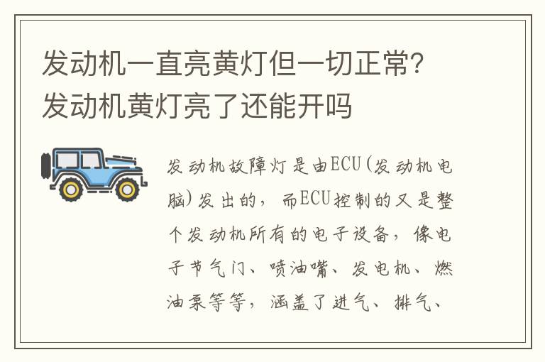 发动机一直亮黄灯但一切正常？发动机