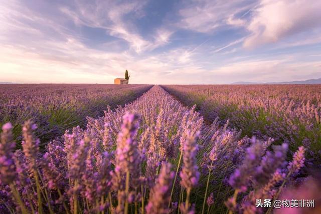 世界上最漂亮的旅游景点？2022年世界最美的51个地方