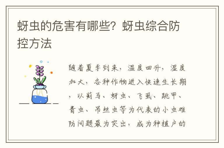 蚜虫的危害有哪些？蚜虫综合防控方法