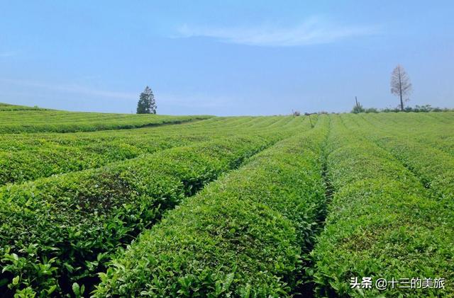 杭州市区图片大全？最美的10处景色