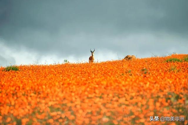 世界上最漂亮的旅游景点？2022年世界最美的51个地方