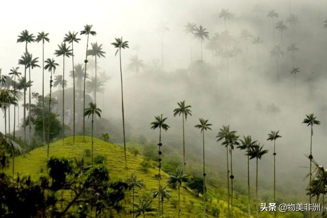 世界上最漂亮的旅游景点？2022年世界最美的51个地方