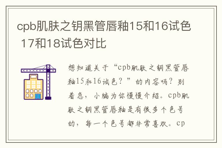 cpb肌肤之钥黑管唇釉15和16试色 17和18试色对比