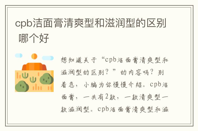 cpb洁面膏清爽型和滋润型的区别 哪个好