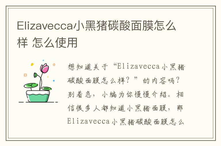 Elizavecca小黑猪碳酸面膜怎么样 怎么使用