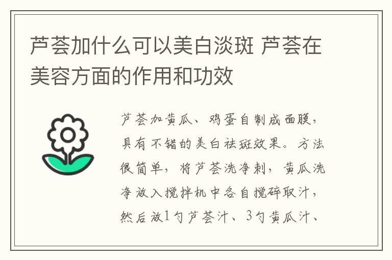 芦荟加什么可以美白淡斑 芦荟在美容方面的作用和功效