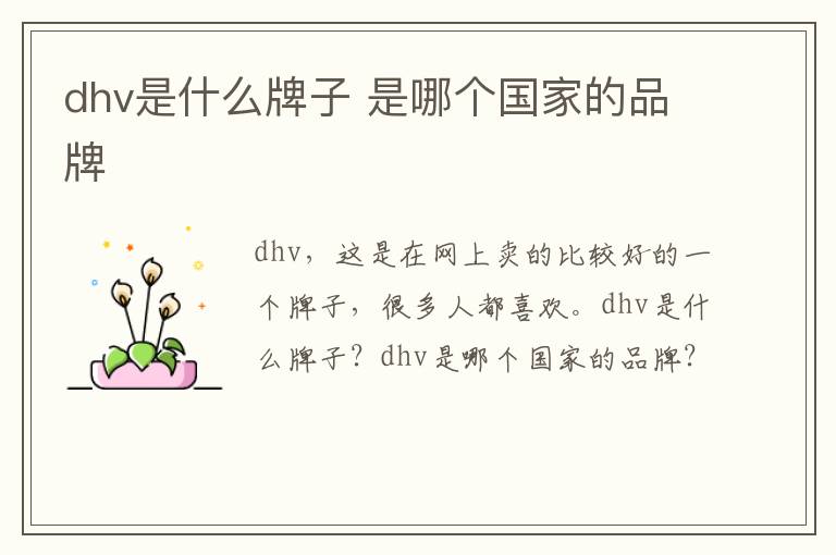 dhv是什么牌子 是哪个国家的品牌