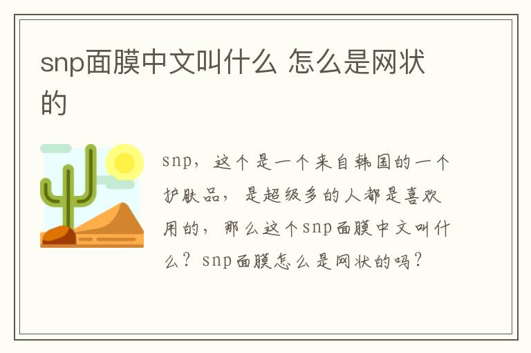 snp面膜中文叫什么 怎么是网状的