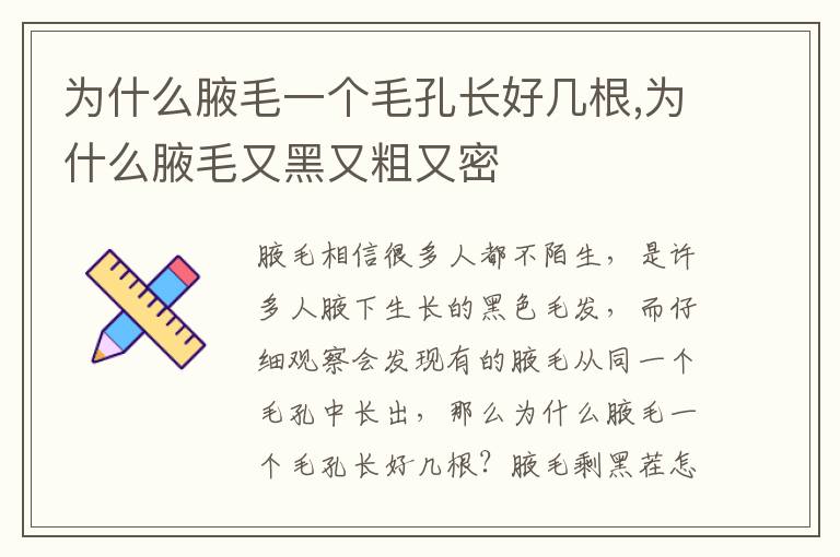 为什么腋毛一个毛孔长好几根,为什么腋毛又黑又粗又密